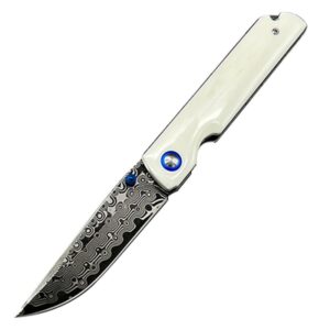 VG10 Damascus Folding Knife